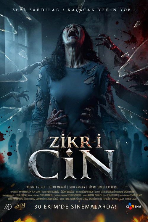 Zikr-i Cin afişi