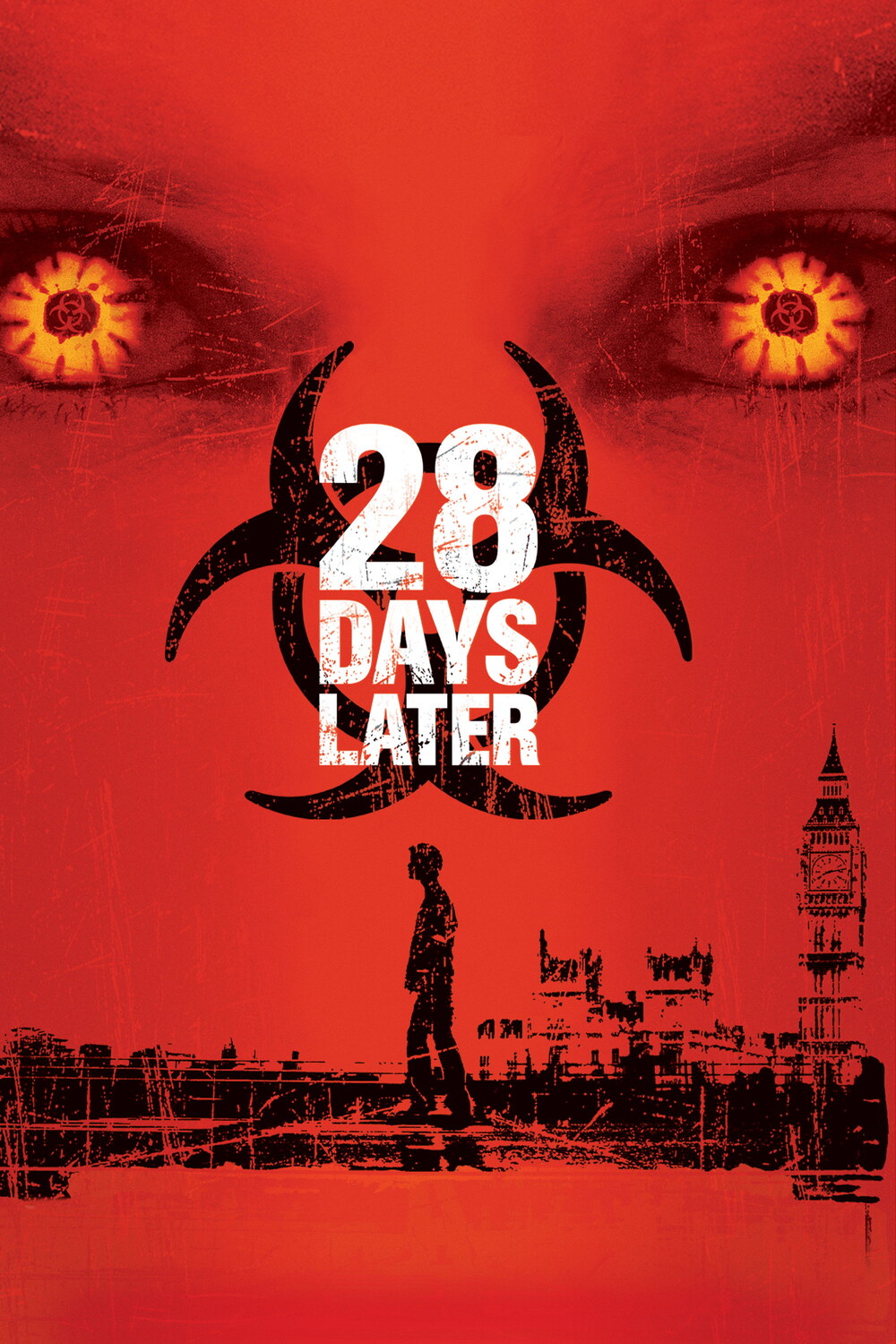 28 Days Later afişi
