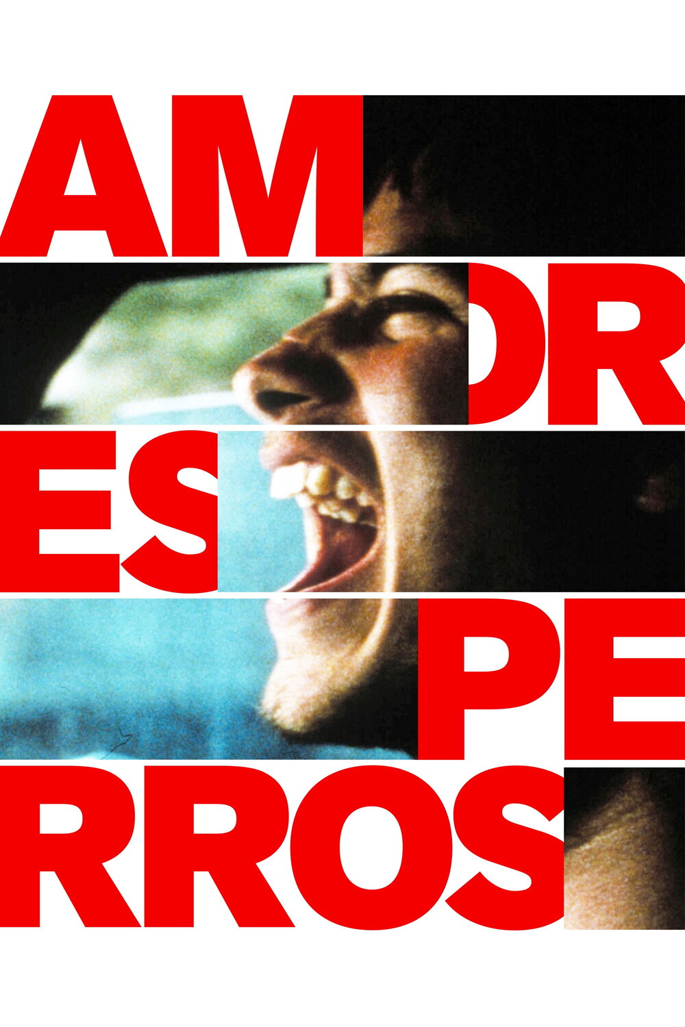 Amores Perros afişi