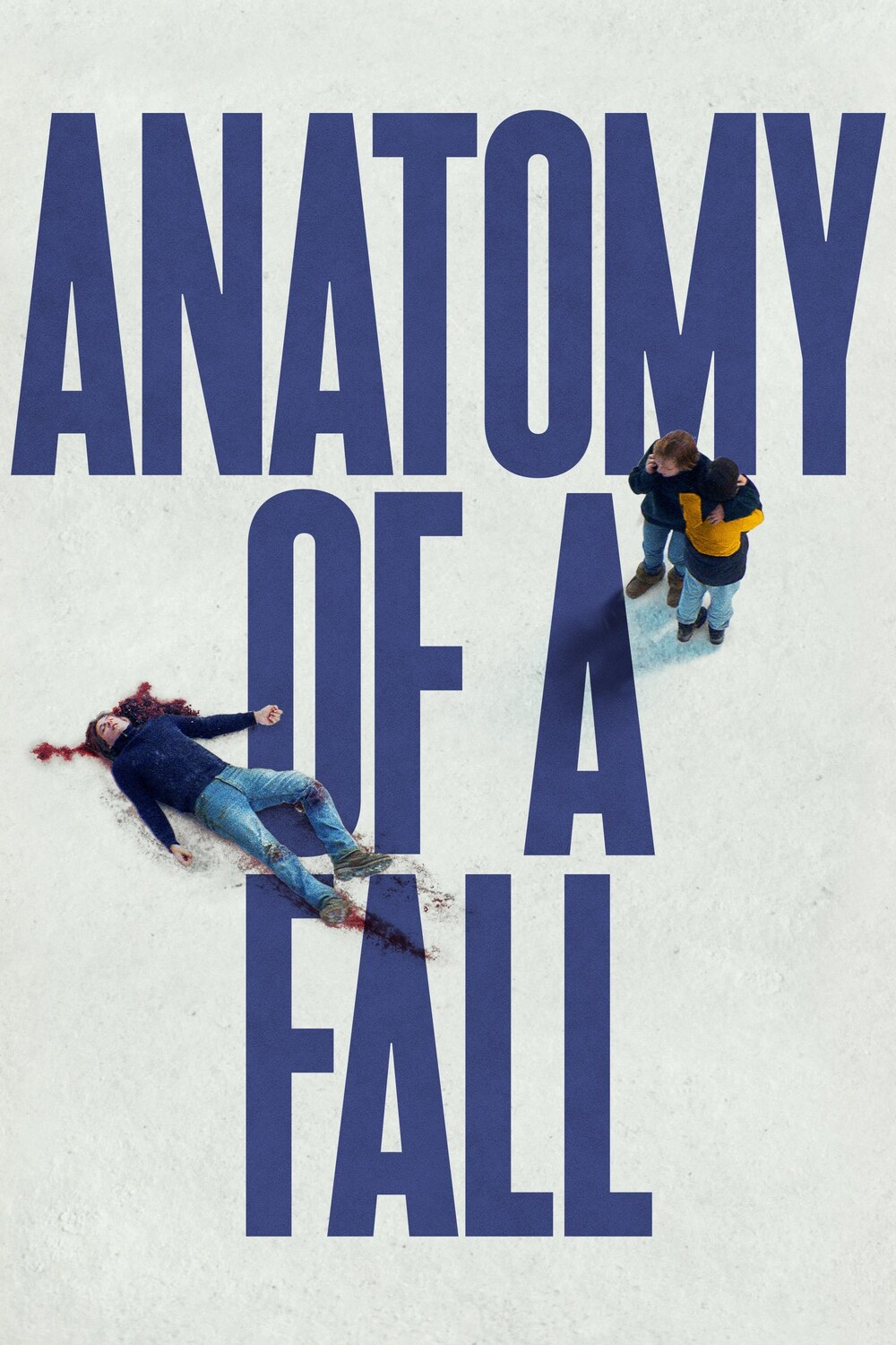 Anatomy of a Fall afişi