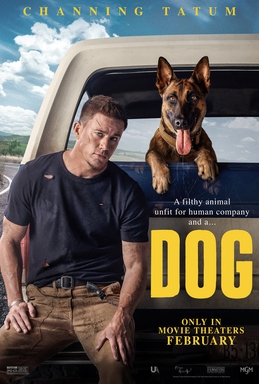 Dog afişi