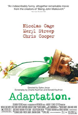 Adaptation. afişi