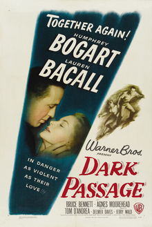 Dark Passage afişi