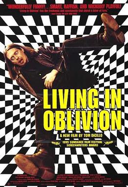 Living in Oblivion afişi
