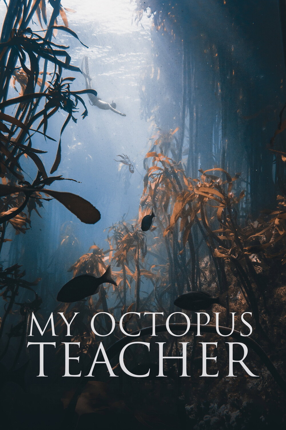 My Octopus Teacher afişi